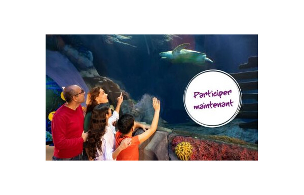 Concours Coop Hello Family - Gagnez un billet familial pour l'aquarium ...