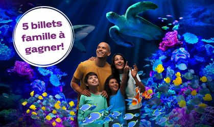 Concours Coop Hello Family - Gagnez un billet famille pour l'aquarium ...