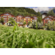 Gagnez un bon pour des vacances Reka d'une valeur de CHF 2'000.- pour un séjour exceptionnel en famille