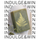 Gagnez un bon d'achat pour un ensemble de savon de Soap Piece et un produit de votre choix parmi la toute nouvelle collection d'automne de Beldona