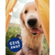 Gagnez un cadeau pour votre animal de compagnie