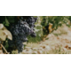 Gagnez un coffret de 6 bouteilles de vin de Don Pascual Navarra
