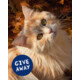 Gagnez un cadeau surprise pour votre animal de compagnie