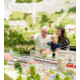 Gagnez 5 cartes cadeaux Coop de CHF 50.- et 4 entrées pour Smilestones - L’univers miniature des chutes du Rhin