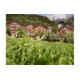 Gagnez un bon pour des vacances Reka d'une valeur de CHF 2'000.- pour un séjour exceptionnel en famille