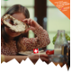 Gagnez 5 séjours en Suisse d'une valeur de CHF 2'000.- chacun