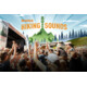 Gagnez 2 des 180 places pour le Migros Hiking Sounds 2026