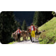 Gagnez une expérience dans une destination suisse traditionnelle pour des séjours, 10 couteaux de poche Victorinox et d'autres lots