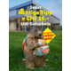 Gagnez un bon d'achat Lidl de CHF 25.-