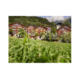Gagnez des vacances Reka en famille d'une valeur de CHF 2'000.-