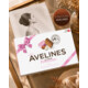 Gagnez un coffret Avelines Princesses