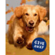 Gagnez un cadeau pour votre animal de compagnie