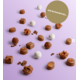 Gagnez le nouveau coffret de pralinés Top Ten