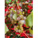 Gagnez une bouteille de Gamay On Danse ou de Syrah Minute Papillon